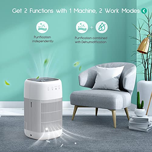 Air Purifier and Dehumidifier in 1, Afloia Q10 True HEPA Air Purifier with H13 HEPA Filter, Small Dehumidifier Combined with Air Cleaner, Remove Pet Odors Dust Smoke for Home, Bedroom, Bathroom | The Storepaperoomates Retail Market - Fast Affordable Shopping