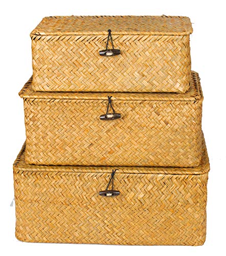 Yesland Shelf Baskets with Lid Set of 3, Handwoven Seagrass Storage Bins Box Rectangular Seagrass Basket Storage Organizer Wicker Basket for Shelf | The Storepaperoomates Retail Market - Fast Affordable Shopping