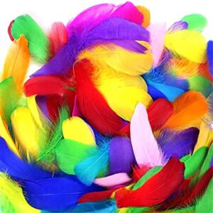 Coceca 300pcs 3-5 Inches Colorful Feathers for DIY Craft Wedding Home Party Decorations