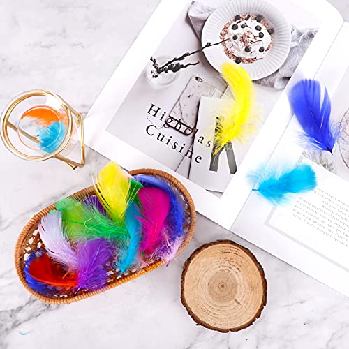 Coceca 300pcs 3-5 Inches Colorful Feathers for DIY Craft Wedding Home Party Decorations | The Storepaperoomates Retail Market - Fast Affordable Shopping