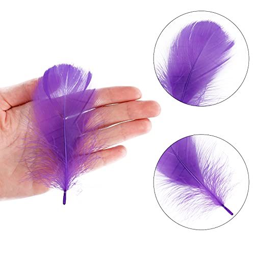 Coceca 300pcs 3-5 Inches Colorful Feathers for DIY Craft Wedding Home Party Decorations | The Storepaperoomates Retail Market - Fast Affordable Shopping