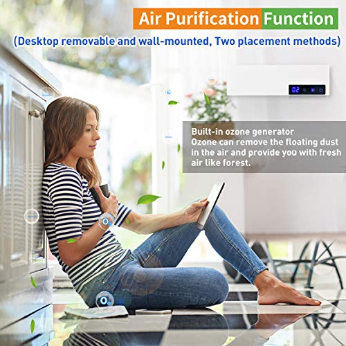 Air Purifier Deodorizer Freshens Air Cleaner for Home Smokers Allergies and Pets Hair, Remove Oil Smoke, Dust and Odor for Bathroom, Bedroom, Kitchen, Toilet, Closet | The Storepaperoomates Retail Market - Fast Affordable Shopping