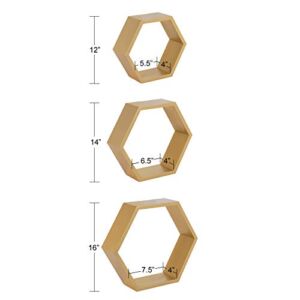 Kate and Laurel Putnam Hexagon Shelf, Set of 3, Gold, Dynamic Geometric Wall Decor and Storage