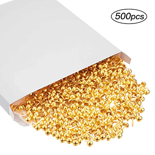 500 Pieces Paper Brass Fasteners Brass Brads Round Fasteners for Kids Craft Art Crafting School Project Decorative Scrapbooking DIY Supplies(Golden,0.3 x 0.6 Inch) | The Storepaperoomates Retail Market - Fast Affordable Shopping