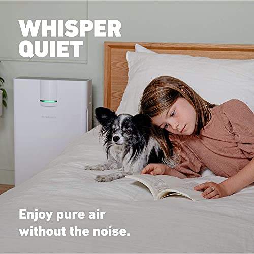 HATHASPACE Smart Air Purifier 2.0 for Home Large Room with True HEPA Air Filter for Allergens, Pets, Smoke, Removes 99.9% of Dust, Mold, Pet Dander, Odors, Pollen – HSP002, 1500 Sq. Ft. Coverage | The Storepaperoomates Retail Market - Fast Affordable Shopping