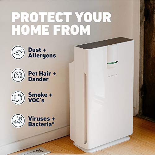 HATHASPACE Smart Air Purifier 2.0 for Home Large Room with True HEPA Air Filter for Allergens, Pets, Smoke, Removes 99.9% of Dust, Mold, Pet Dander, Odors, Pollen – HSP002, 1500 Sq. Ft. Coverage | The Storepaperoomates Retail Market - Fast Affordable Shopping