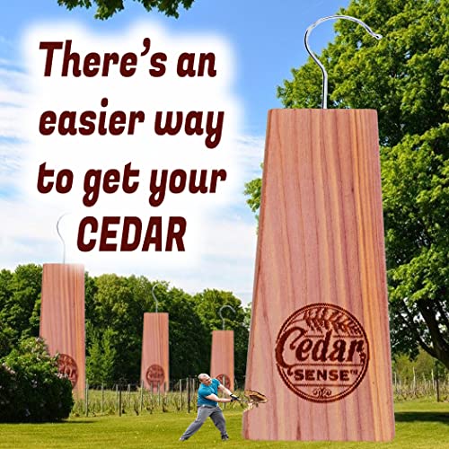 Cedar Sense – Cedar Variety 70 Pack – 40 Cubes – 20 Rings – 8 Hang Ups – 2 Sachets – Cedar Blocks for Clothes Storage – Cedar Chips for Closets – Cedar Blocks – Cedar Closet Home | The Storepaperoomates Retail Market - Fast Affordable Shopping