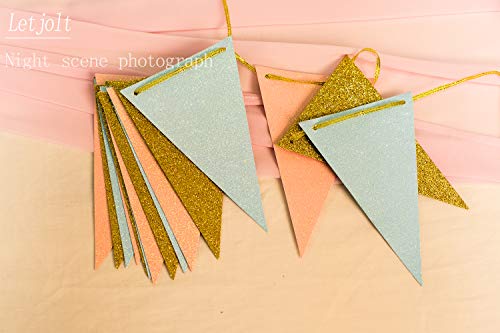 10 Feet Gender Reveal Party Banner Glitter Paper Decoration Anniversary Supplies Garland Pennant Flags for Baby Shower Birthday Party Nursery Graduation Decoration 15pcs (Gold Pink Blue) | The Storepaperoomates Retail Market - Fast Affordable Shopping