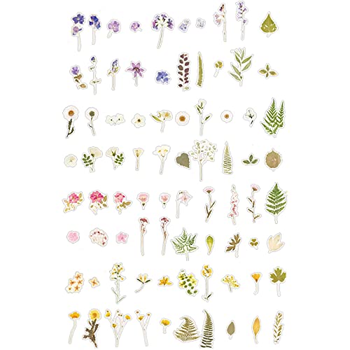 MAXLEAF 160PCS Vintage Plants Flowers Leaves Stickers for Decoration Planners Scrapbook Laptops Dairy Decoration (Wild Flower) | The Storepaperoomates Retail Market - Fast Affordable Shopping