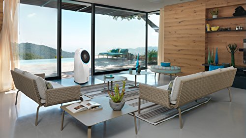 DeLonghi America America Portable Evaporative Cooler, White | The Storepaperoomates Retail Market - Fast Affordable Shopping