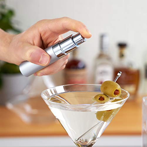 True Martini Atomizer Bar Mister with Refillable Funnel for Vermouth Spray Glass Canister with Stainless Steel Case, 1 Count (Pack of 1), Silver | The Storepaperoomates Retail Market - Fast Affordable Shopping