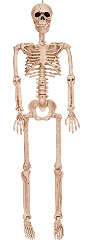 Crazy Bonez Poseable Skeleton Decoration, 36″ | The Storepaperoomates Retail Market - Fast Affordable Shopping