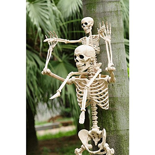 Crazy Bonez Poseable Skeleton Decoration, 36″ | The Storepaperoomates Retail Market - Fast Affordable Shopping