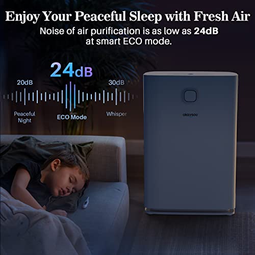 Okaysou Smart Air Purifiers for Home Large Room, 1000 sqft Coverage, 5-Stage Filtration System, H13 True HEPA Filter Cleaner with Washable Filter, Remove 99.97% Dust Pollen Smoke Odors, AirMax 10L Pro | The Storepaperoomates Retail Market - Fast Affordable Shopping