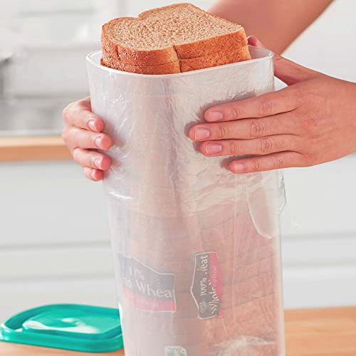Bread Container Plastic Storage Keeper – Sandwich Size Single Loaf Bread Box | The Storepaperoomates Retail Market - Fast Affordable Shopping