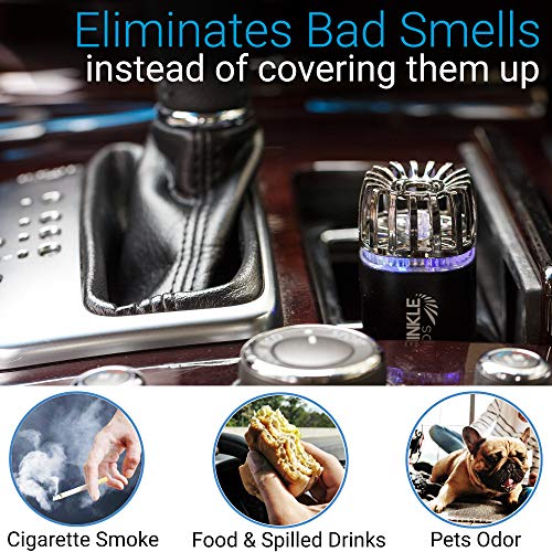 Car Air Purifier Ionizer – 12V Plug-in Ionic Anti-Microbial Car Deodorizer with Dual USB Charger – Smoke Smell, Pet and Food Odors, Allergens, Viruses Eliminator for Car (Matte Black) | The Storepaperoomates Retail Market - Fast Affordable Shopping