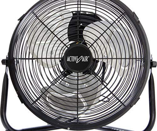 ACTIVE AIR ACFV1012 HD Pedestal, 16″ Fan, Black | The Storepaperoomates Retail Market - Fast Affordable Shopping