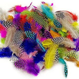 JPSOR 120pcs Feathers for Craft Colorful Spotted Craft Feathers, 3-6 Inches 10 Colors for DIY Party Jewelry Clothing Decoration