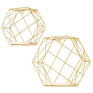 Infinite Node Floating Shelves Wall Mounted Metal Wire Art Hexagon Shelves with Solid Wood Board for Plant Display, Storage Rack & Organiser, Home Decoration Wall Shelf Set of 2 (Gold, Lattice)