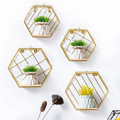 Infinite Node Floating Shelves Wall Mounted Metal Wire Art Hexagon Shelves with Solid Wood Board for Plant Display, Storage Rack & Organiser, Home Decoration Wall Shelf Set of 2 (Gold, Lattice) | The Storepaperoomates Retail Market - Fast Affordable Shopping