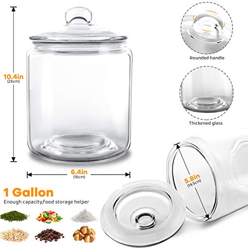 MASTERTOP Glass Jars with Lids,1 Gallon Airtight Big Glass Cookie Jar, Leak Proof Rubber Gasket Lid, Multifunctional Storage Container for Dry Food, Cookies, Snacks | The Storepaperoomates Retail Market - Fast Affordable Shopping