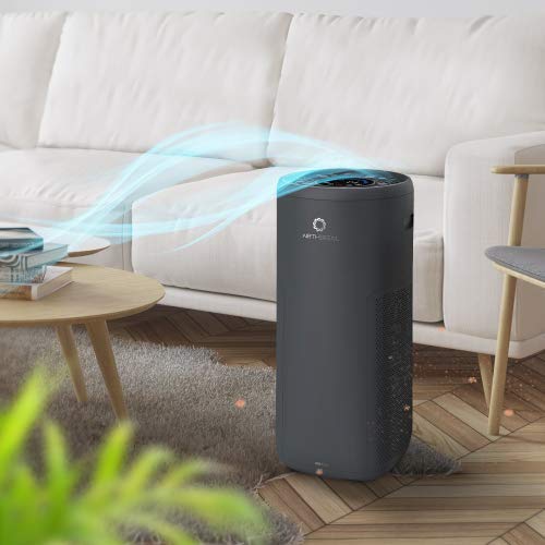 Airthereal AGH550 HEPA Filter Air Purifier with Auto Mode and Real-Time Air Quality Monitor, Energy Star Rated – Perfect for Extra Large Rooms, Living Room and Office – Glory Days | The Storepaperoomates Retail Market - Fast Affordable Shopping