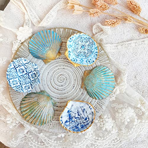 SEAJIAYI 25 pcs Natural Scallop Shells White Sea Shells from Sea Beach for DIY Craft Home Décor(5-8 cm) | The Storepaperoomates Retail Market - Fast Affordable Shopping