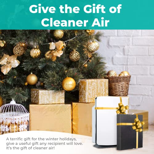 Alen BreatheSmart Classic Large Room Air Purifier Medical Grade Filtration H13 True HEPA for 1100 Sqft, 99.9% Airborne Particle Removal, Captures Allergens, Dust, Pet Dander, Odors, White | The Storepaperoomates Retail Market - Fast Affordable Shopping