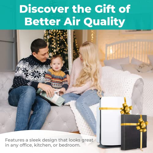 Alen BreatheSmart Classic Large Room Air Purifier Medical Grade Filtration H13 True HEPA for 1100 Sqft, 99.9% Airborne Particle Removal, Captures Allergens, Dust, Pet Dander, Odors, White | The Storepaperoomates Retail Market - Fast Affordable Shopping