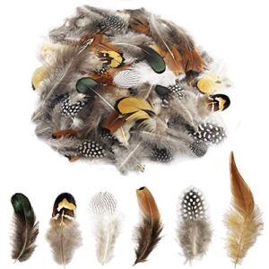 180pcs 6 Style Natural Feathers Assorted Mixed Feathers for Dream Catcher Crafts Decoration (6 Styles/180 Pcs)