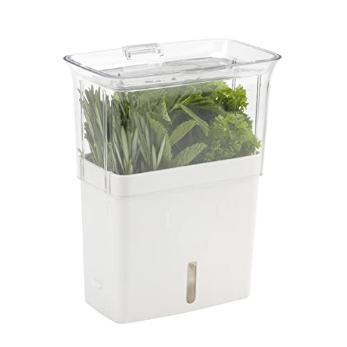 COLE & MASON Fresh Herb Keeper, Container, Clear | The Storepaperoomates Retail Market - Fast Affordable Shopping