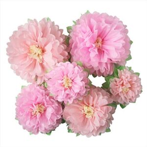 Mybbshower Pinks Flowers Decoration (11”-7” Assorted) 6 pcs Artificial Tissue Paper Peony Nursery Wall Bridal Shower Centerpiece Baby Girl Birthday Tea Party