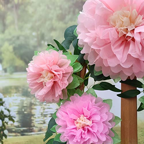 Mybbshower Pinks Flowers Decoration (11”-7” Assorted) 6 pcs Artificial Tissue Paper Peony Nursery Wall Bridal Shower Centerpiece Baby Girl Birthday Tea Party | The Storepaperoomates Retail Market - Fast Affordable Shopping