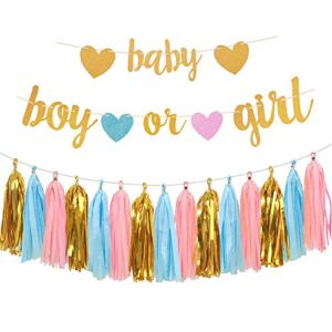 Aonor Gender Reveal Party Decorations – Glitter Letters Baby and Boy or Girl with Hearts Banner, Tissue Paper Tassels Garland Set for Baby Shower Party Decorations