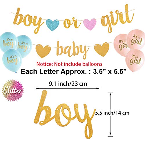 Aonor Gender Reveal Party Decorations – Glitter Letters Baby and Boy or Girl with Hearts Banner, Tissue Paper Tassels Garland Set for Baby Shower Party Decorations | The Storepaperoomates Retail Market - Fast Affordable Shopping