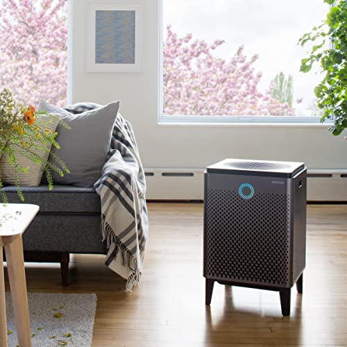 Coway Airmega 400(G) Smart Air Purifier True HEPA Air Purifier with Smart Technology, Covers 1,560 sq. ft., Graphite | The Storepaperoomates Retail Market - Fast Affordable Shopping