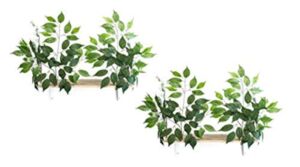On2 Pets Cat Canopy Shelves with Leaves Handcrafted in USA, A Rectangular Set of 2 Wall Mounted Shelves in Evergreen, Medium (CN003)