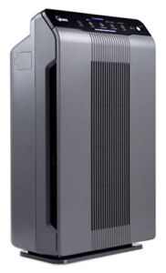 Winix 5300-2 Air Purifier with True HEPA, PlasmaWave and Odor Reducing Carbon Filter,Gray