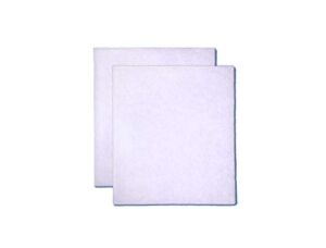 OdorFree Washable Filters for Ozone Generators (2-Pack)