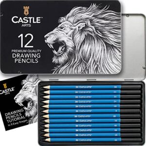 Castle Art Supplies 12 Piece Graphite Drawing Pencils Kit | For Adult Artists – Beginners and Advanced | Presented in Attractive, Compact, Sturdy Metal Case With Tutorial
