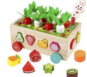Kizmyee Toddler Montessori Toys for Kids, Wooden Educational Toys Shape Color Sorting Matching Educational Wooden Toys for Toddlers for Boys Girls 1 2 3 4 5+ Year Old