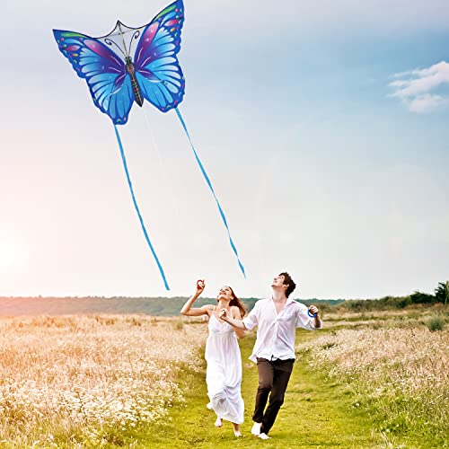 Flerigh Large Butterfly Kite for Kids and Adults Easy to Fly and Assemble for Beginner, Children Kites for Ages 8-12 Professional for Beach | The Storepaperoomates Retail Market - Fast Affordable Shopping