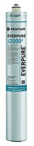 Everpure EV961222 i2000 2 Filter Cartridge
