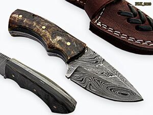 BC-44 Style Damascus Steel Skinner Knife – lamb HornHandle (BC-44)