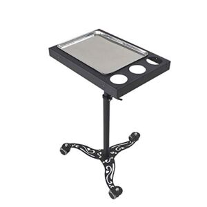 ZSCLLCQ Movable Trolleys, Household Serving Cart Adjustable Height Beauty Tool Cart on Wheels with Stainless Steel Tray – Ideal for Dental Hospital, Clinic, Hospital