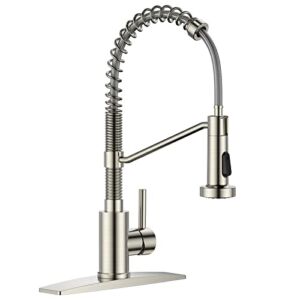 FORIOUS Kitchen Faucet with Pull Down Sprayer, Brushed Nickel Single Handle Single Lever Kitchen Sink Faucet with Deck Plate, Commercial rv Stainless Steel Kitchen Faucets, 1 Or 3 Hole Compatible