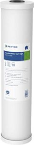 Pentair Pentek RFC-20BB Big Blue Carbon Water Filter, 20-Inch, Whole House Heavy Duty Radial Flow Carbon Replacement Cartridge with Granular Activated Carbon (GAC) Filter, 20″ x 4.5″, 25 Micron
