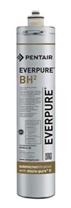 Everpure EV9612-50 BH 2 Filter Cartridge , Silver