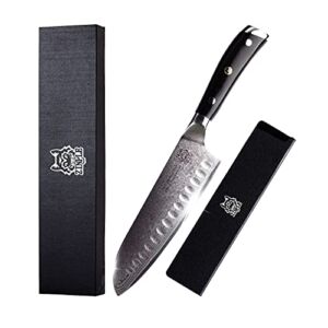 ZINPLE Damascus Chef Knife 8 Inch, Santoku Chef’s Knife Professional Kitchen Knife, High Carbon VG10 Super Steel 67-Layer Damascus, Meat Cutting Japanese Chef’s Knife Gift Box, Ergonomic G10 Handle