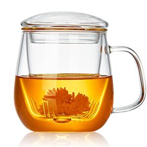 DOPUDO PAVILION Glass Tea Cup with Infuser and Lid, 17.6oz/ 520ml Borosilicate Glass Large Tea Mug with Infuser, Clear Teacup for Loose Leaf Tea, Blooming Tea, Tea Bag